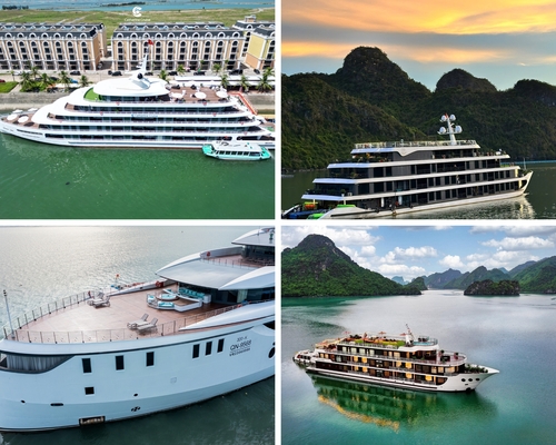 Cruise Special